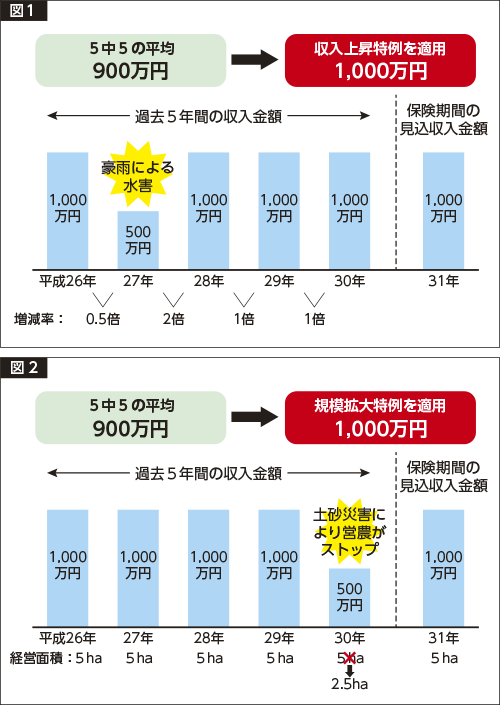 規模拡大特例 収入上昇特例 図
