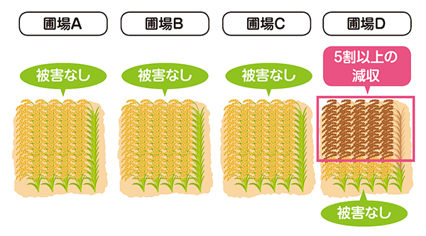 一筆半損特例を付加した場合(図)